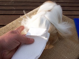 Grooming a longhaired cavy