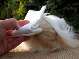 Grooming a longhaired cavy